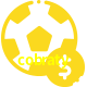 Aposte em esportes do mundo todo no cobraty!
